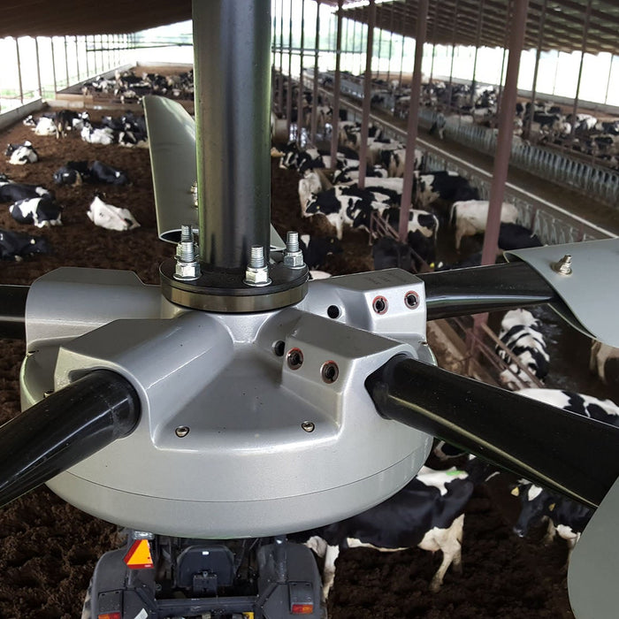 An image of a large fan in a cow barn.