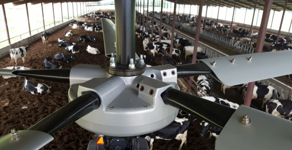 Industrial Fan vs. Regular Fan: Which One Blows Away the Competition?