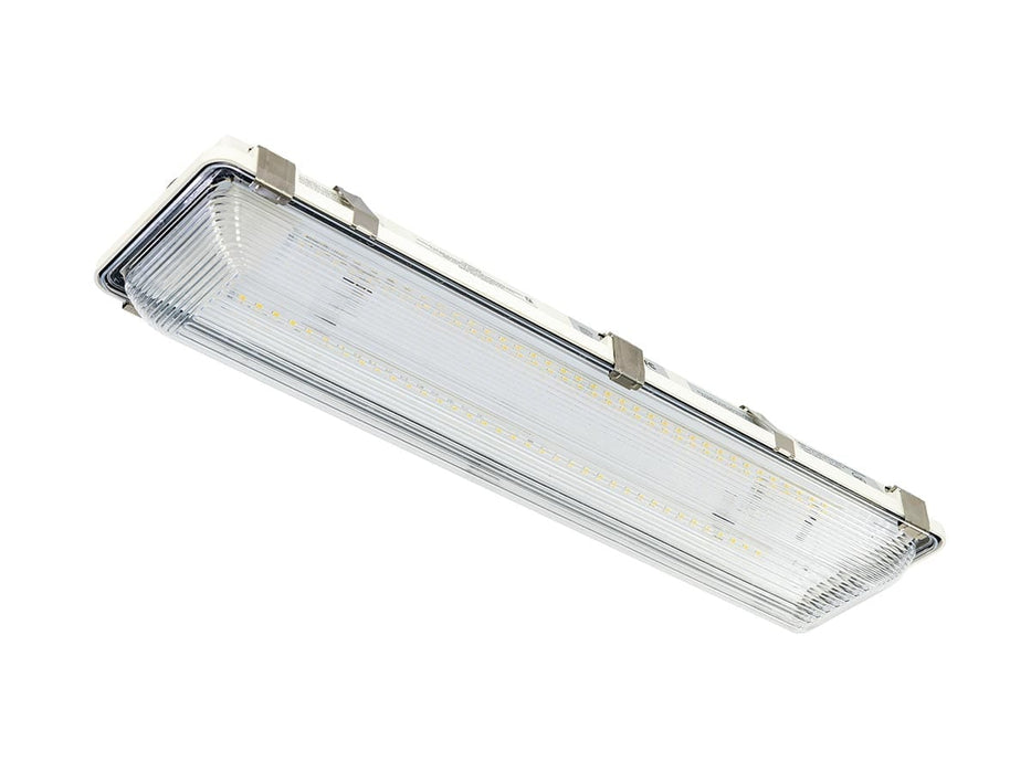 Hosedown LED Light (HD2)
