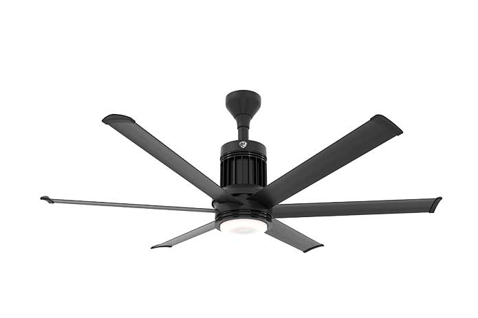 I6 Fan