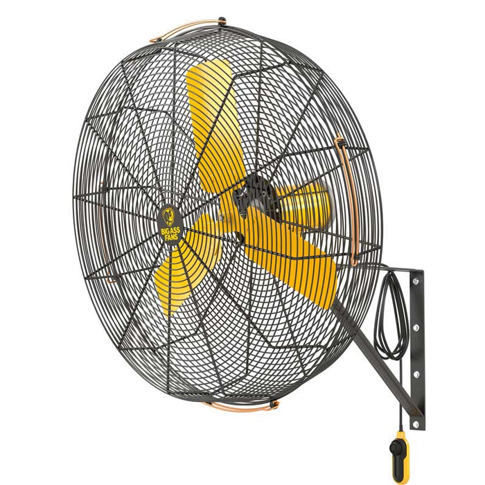 AirEye Directional Fan