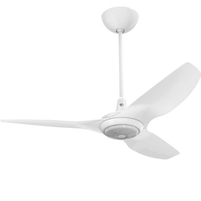 Haiku Ceiling Fan