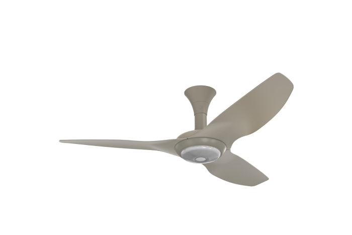 Haiku Ceiling Fan