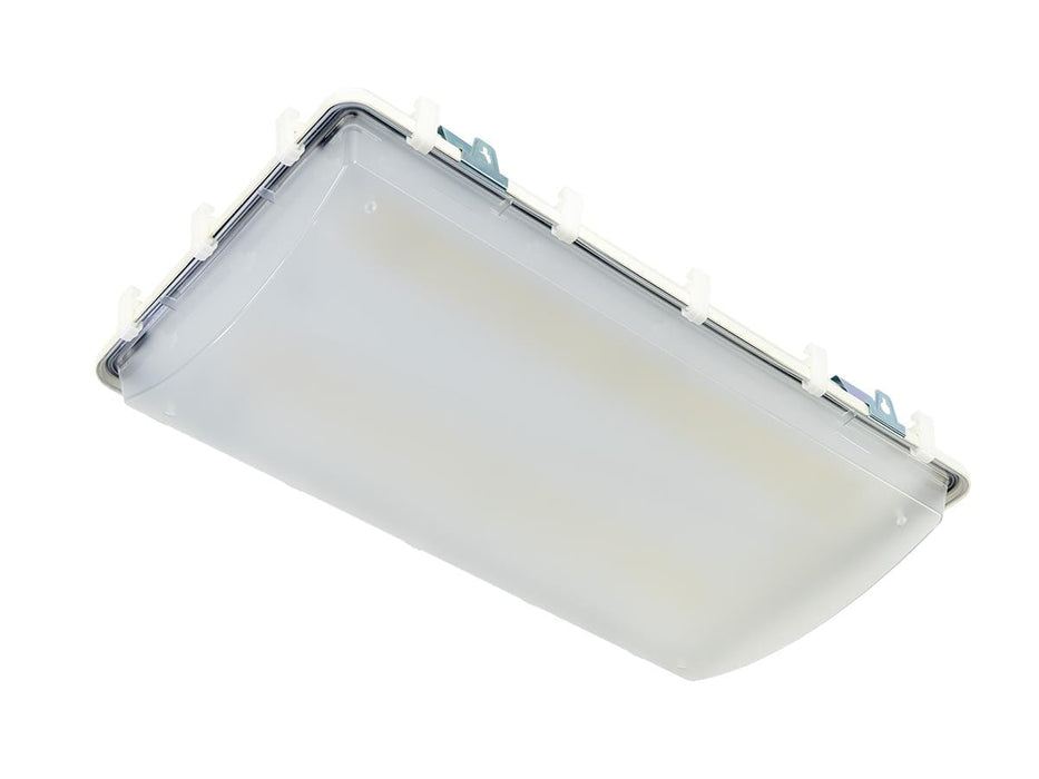 Hosedown LED Light (HD2)