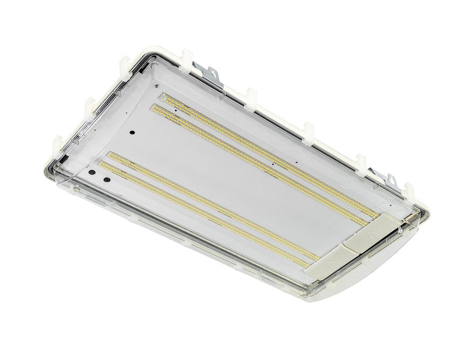 Hosedown LED Light (HD2)